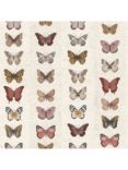 Galerie Jewel Butterflies Wallpaper, G67992