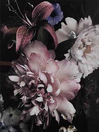 Libra Interiors Floral Framed Glass Print, 120 x 80cm, Black/Multi