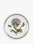 Portmeirion Botanic Garden Sweet William Flower Side Plate, 20cm, Seconds