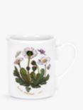 Portmeirion Botanic Garden Daisy Flower Mug, 280ml, Seconds