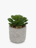 John Lewis Artificial Mini Succulent in Cement Pot