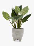 John Lewis Artificial Evergreen Leaves in Footed Pot