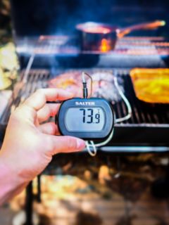 Salter Instant Read Digital Meat Thermometer