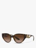 Dolce & Gabbana DG6146 Women's Cat's Eye Sunglasses, Havana/Brown Gradient