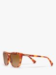 Ralph RA5274 Women's Sponged Tortoiseshell Butterfly Shape Sunglasses, Shiny Havana Honey