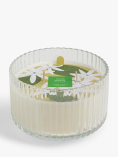 John Lewis White Jasmine Multi Wick Scented Candle, 700g