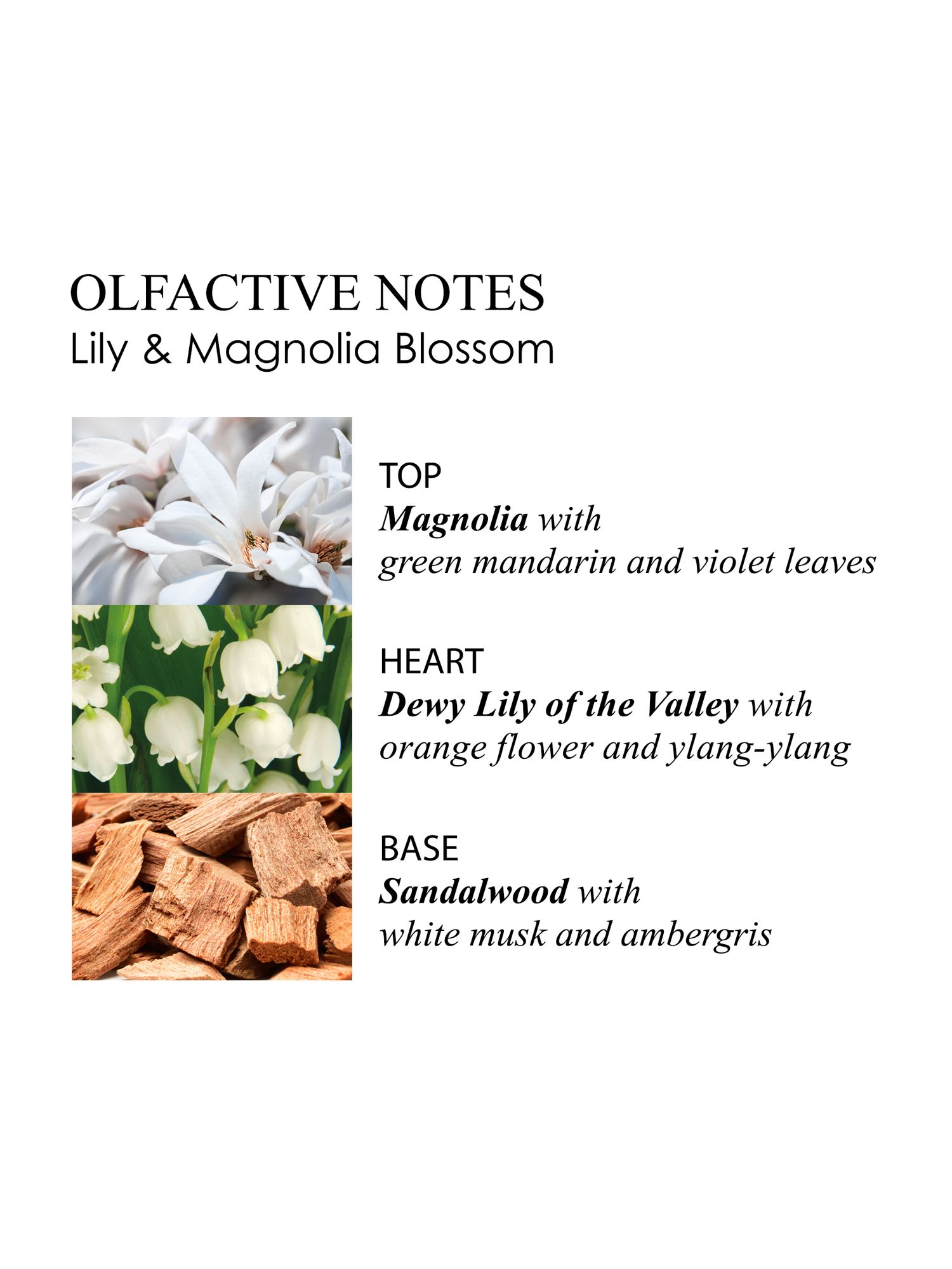 Molton Brown Lily & Magnolia Blossom Body Lotion, 300ml 3
