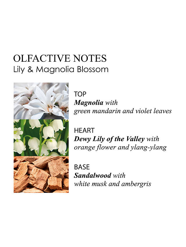 Molton Brown Lily & Magnolia Blossom Bath & Shower Gel, 300ml 3