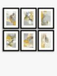 John Lewis Natasha Barnes 'Ochre Dreams' Framed Print & Mount, Set of 6, 43.5 x 33.5cm, Yellow