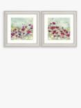 John Lewis Catherine Stephenson Poppy & Daisy Framed Print & Mount, Set of 2, 60.5 x 60.5cm, Red/Multi