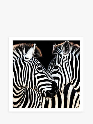 Woodmansterne Zebras Blank Greeting Card