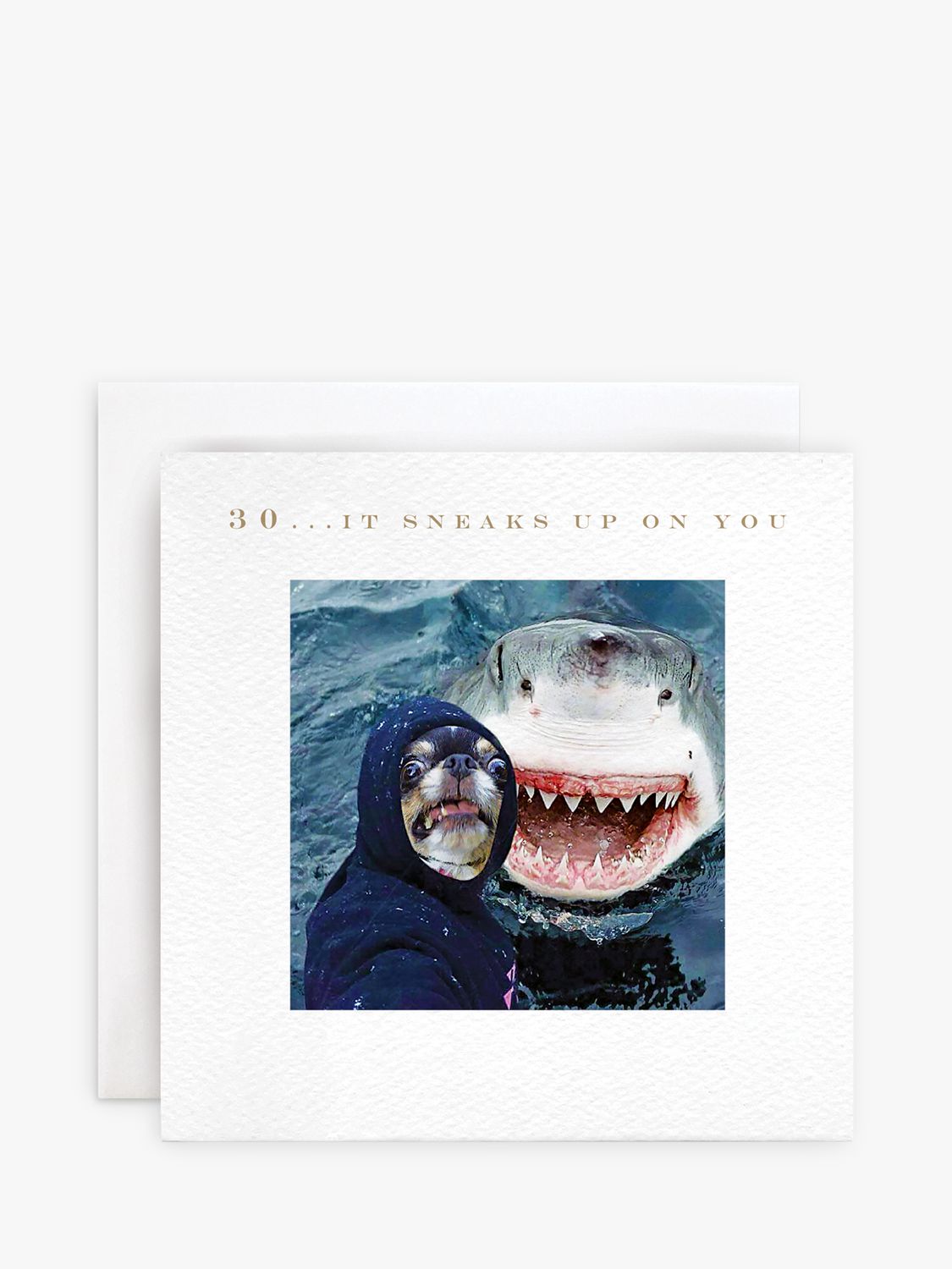 Susan O'Hanlon Dog & Shark 30th Birthday Card