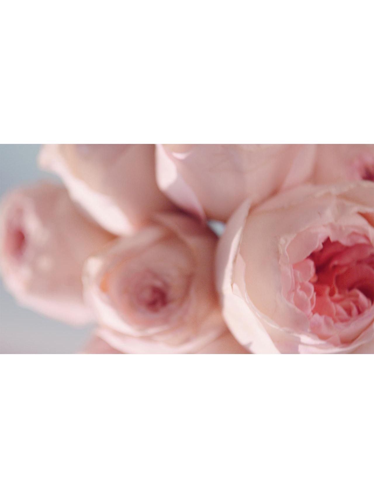 Estée Lauder Beautiful Magnolia Eau de Parfum, 100ml 6