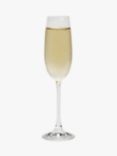 John Lewis ANYDAY Dine Champagne Flute, Set of 4, 180ml, Clear