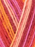 West Yorkshire Spinners Signature 4 Ply Yarn, 100g, 881