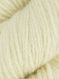 West Yorkshire Spinners Blue Faced Leicester DK Yarn, 100g
