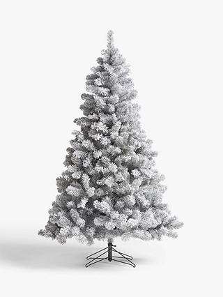 John Lewis Frosted Festive Fir Unlit Christmas Tree, 6ft