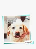 Buyagift Online Dog Grooming Diploma