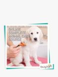 Buyagift Online Animal Care Course