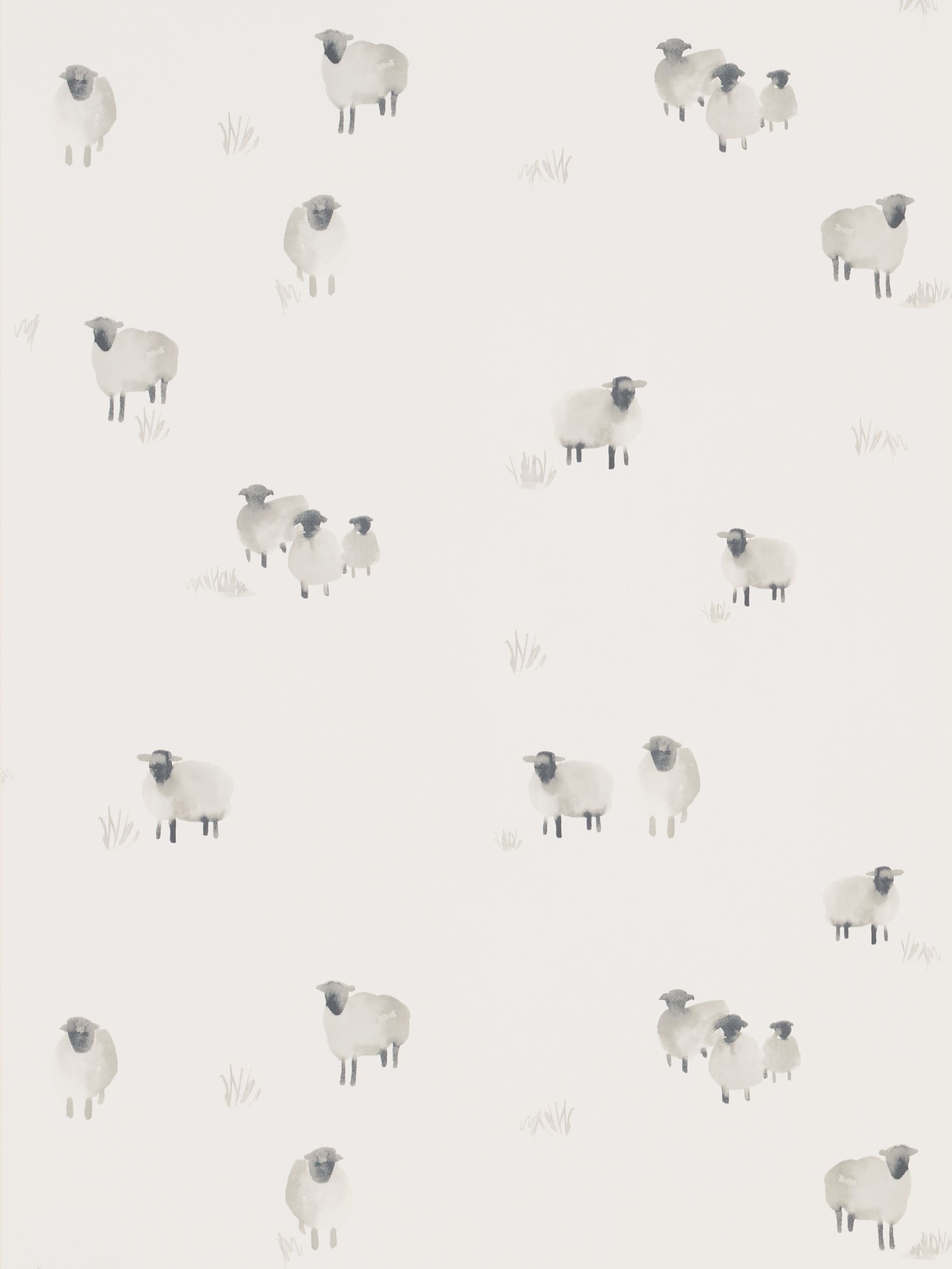 John Lewis & Partners Highland Sheep Wallpaper