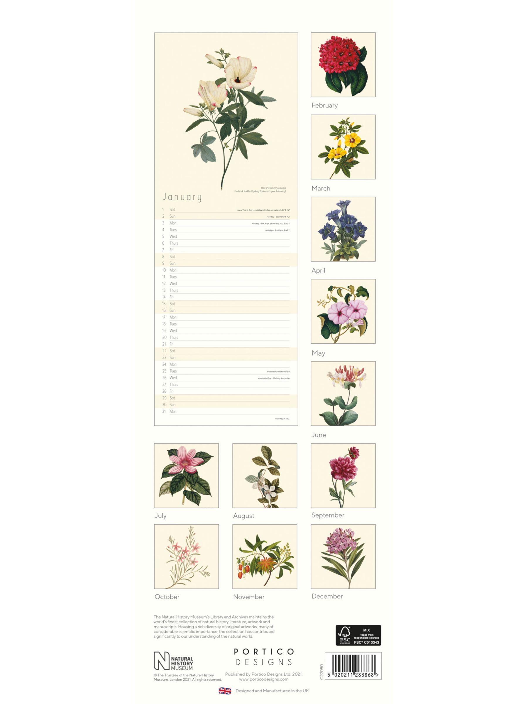 Natural History Museum Slim Botanical Drawings Calendar, 2022