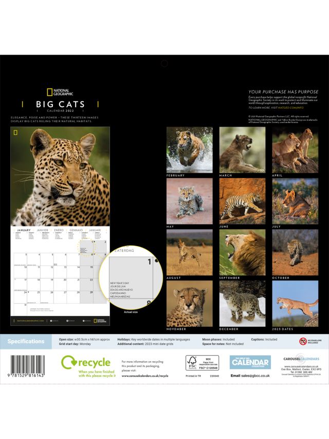 National Geographic Big Cats Calendar, 2022