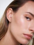 PDPAOLA Ombre Hoop Earrings, Gold/Multi