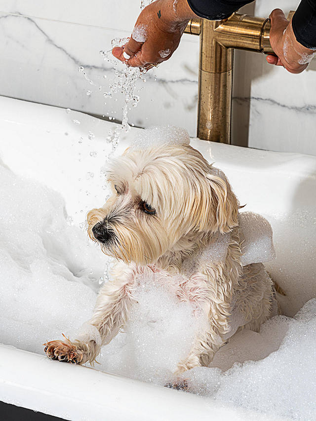 Wild One Dog Shampoo & Wipes Set