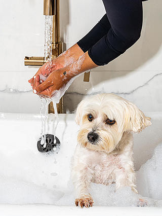 Wild One Dog Shampoo & Wipes Set