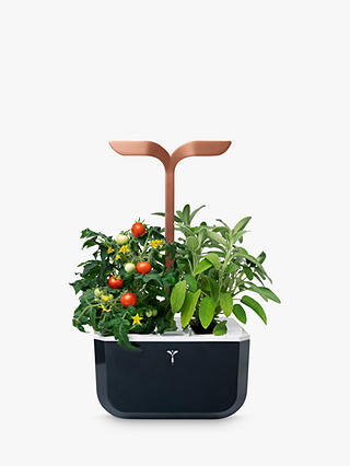 Veritable Indoor Garden Smart Edition Exky 2 Slot Herb & Plant Holder, Black/Copper