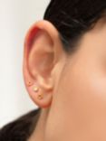 Monica Vinader Nura Reef Stud Earrings, Gold