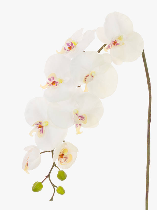 Floralsilk Artificial Phalaenopsis Orchid & Buds, White
