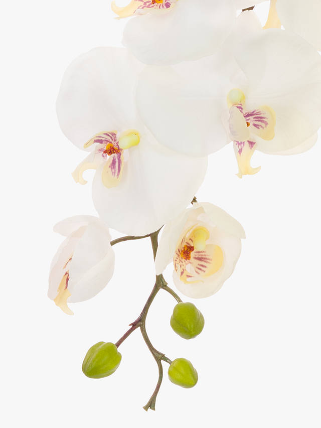 Floralsilk Artificial Phalaenopsis Orchid & Buds, White