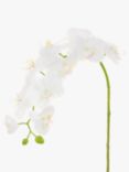 Floralsilk Artificial Phalaenopsis Orchid, White