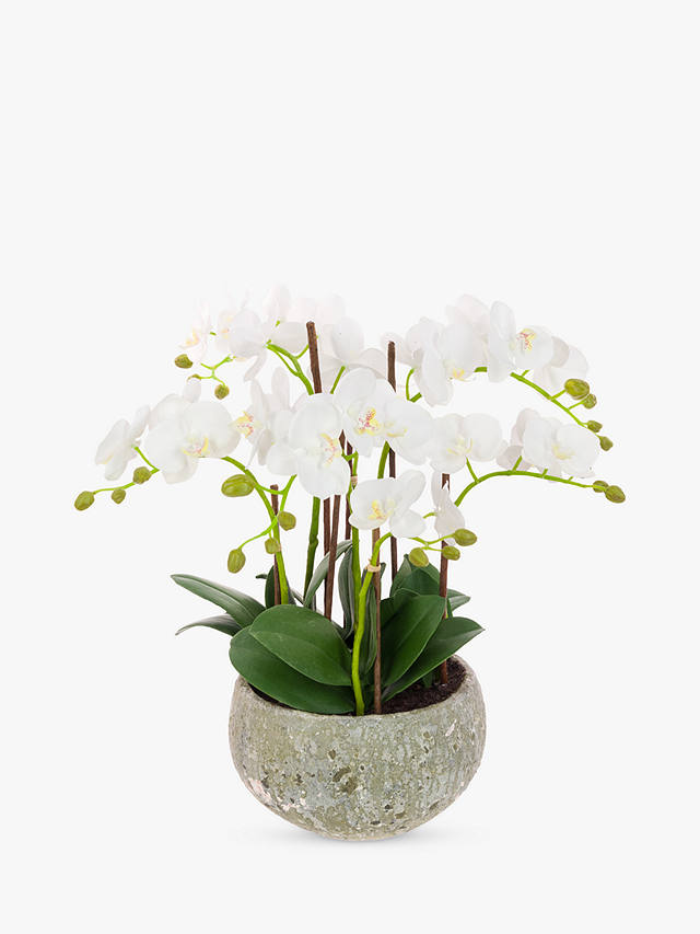 Floralsilk Artificial White Orchid in Clay Pot, 47 cm