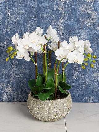 Floralsilk Artificial White Orchid in Clay Pot, 47 cm