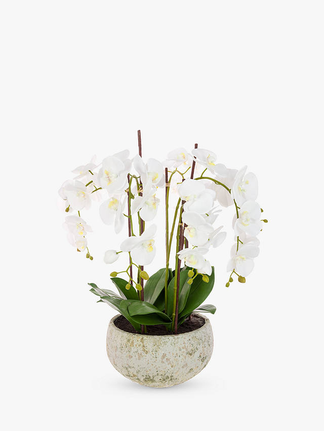 Floralsilk Artificial White Orchid in Clay Pot, 75 cm