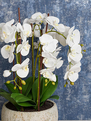 Floralsilk Artificial White Orchid in Clay Pot, 75 cm