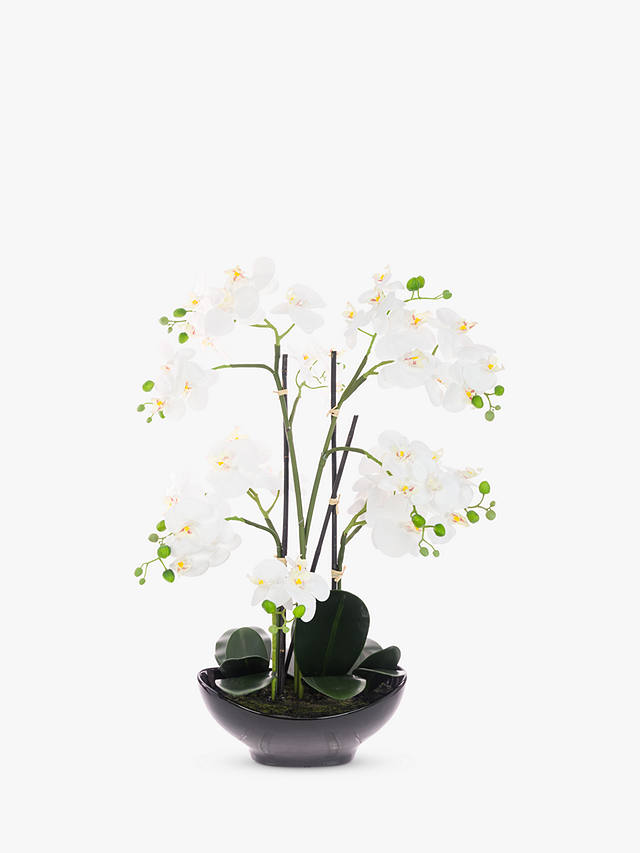Floralsilk Artificial White Orchid in Black Pot