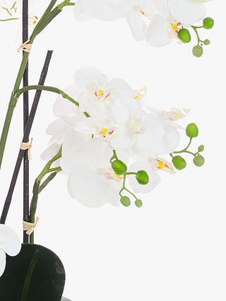 Floralsilk Artificial White Orchid in Black Pot