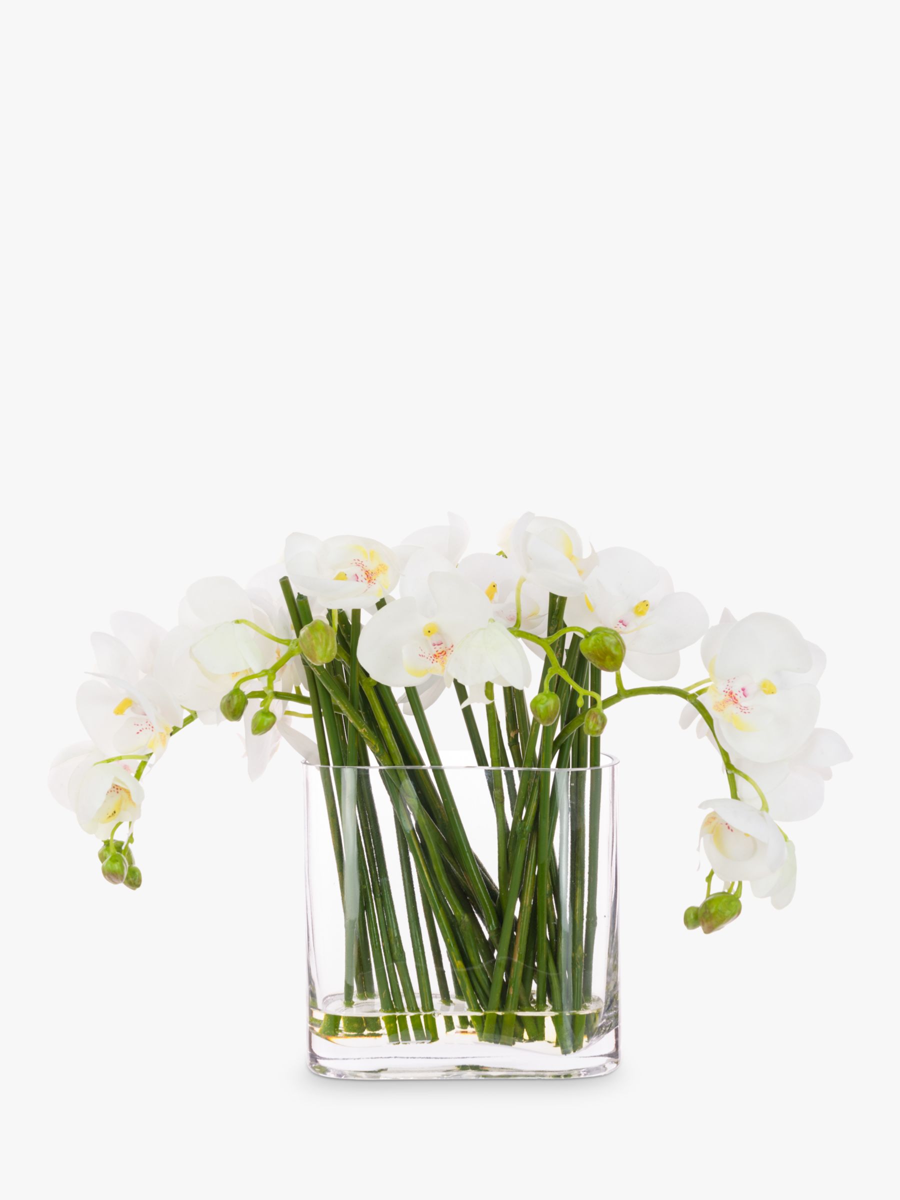 Floralsilk Artificial Contemporary Phalaenopsis Orchid in Glass Vase