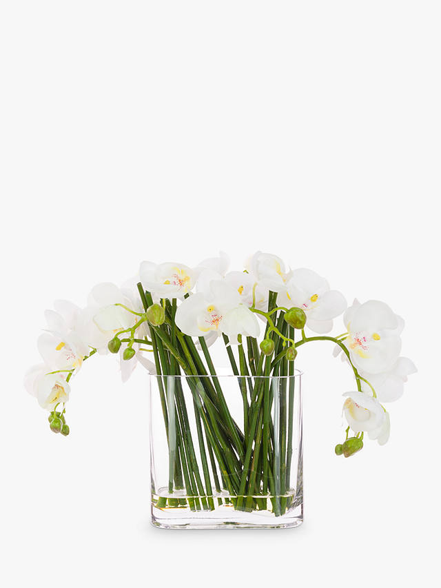 Floralsilk Artificial Contemporary Phalaenopsis Orchid in Glass Vase, 30 cm