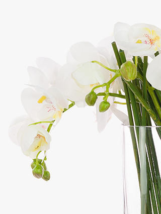 Floralsilk Artificial Contemporary Phalaenopsis Orchid in Glass Vase, 30 cm