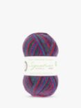 West Yorkshire Spinners Signature Sparkle 4 Ply Yarn, 100g