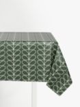 Orla Kiely Linear Stem PVC Tablecloth Fabric, Evergreen