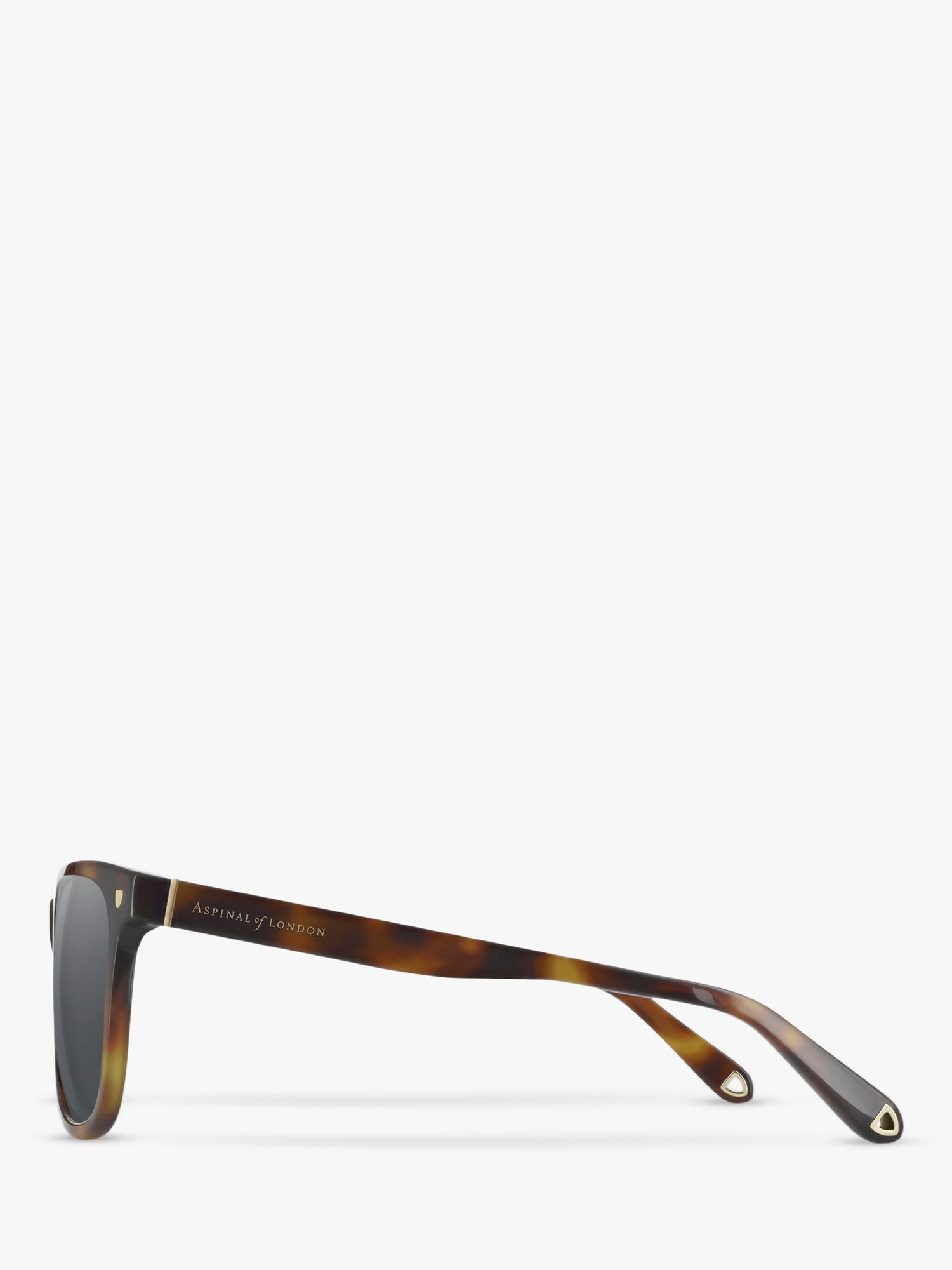 Aspinal of London Men's Milano D-Frame Sunglasses, Tortoiseshell