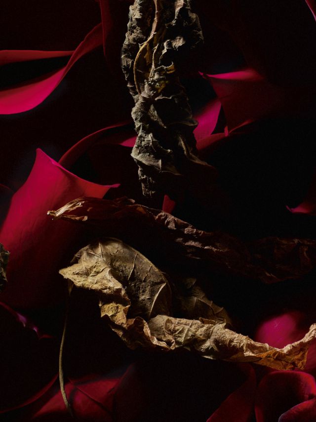 Yves Saint Laurent Rouge Velours Eau de Parfum, 75ml 3