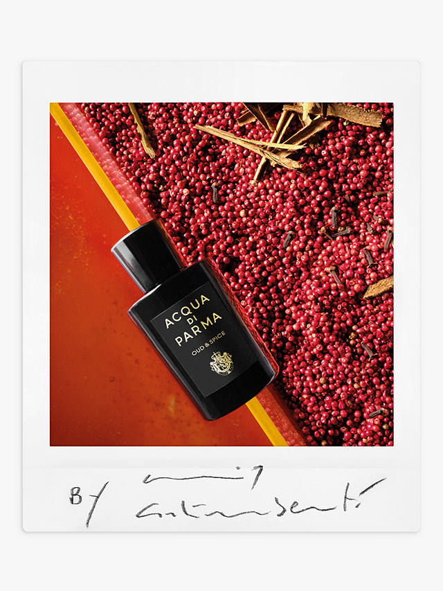Acqua di Parma Oud & Spice Eau de Parfum, 180ml 4