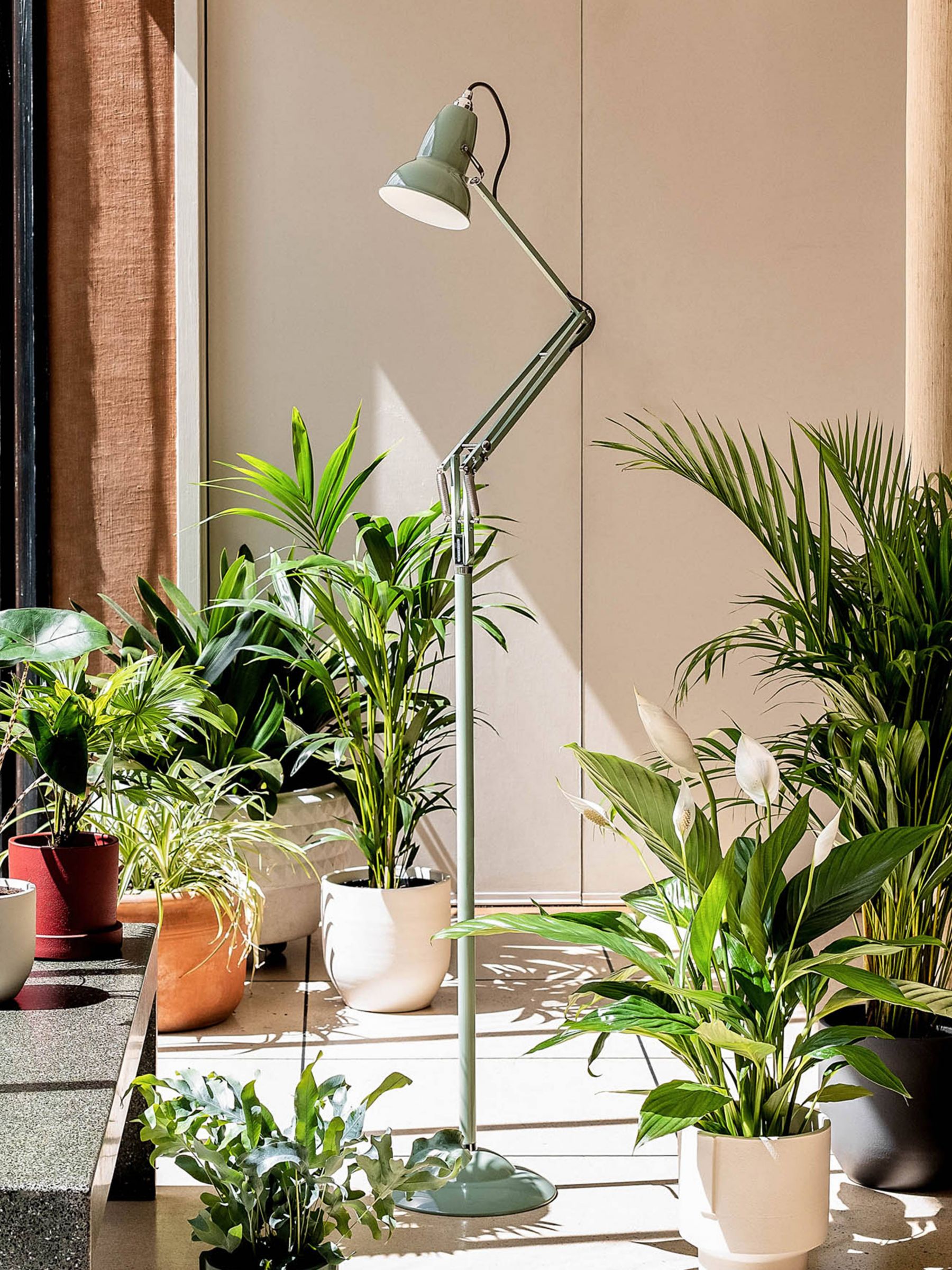 Photo of Anglepoise + national trust 1227 floor lamp sage green