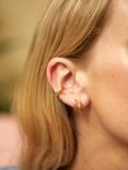 Estella Bartlett The Edit Double Illusion Hoop Earrings, Gold